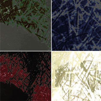 Vier quadratische Bilder mit grafisch verfremdeten Ausschnitten der Dornenkrone