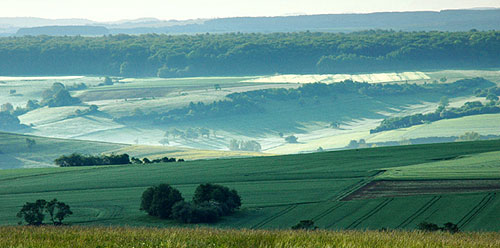 Bliesgaupanorama